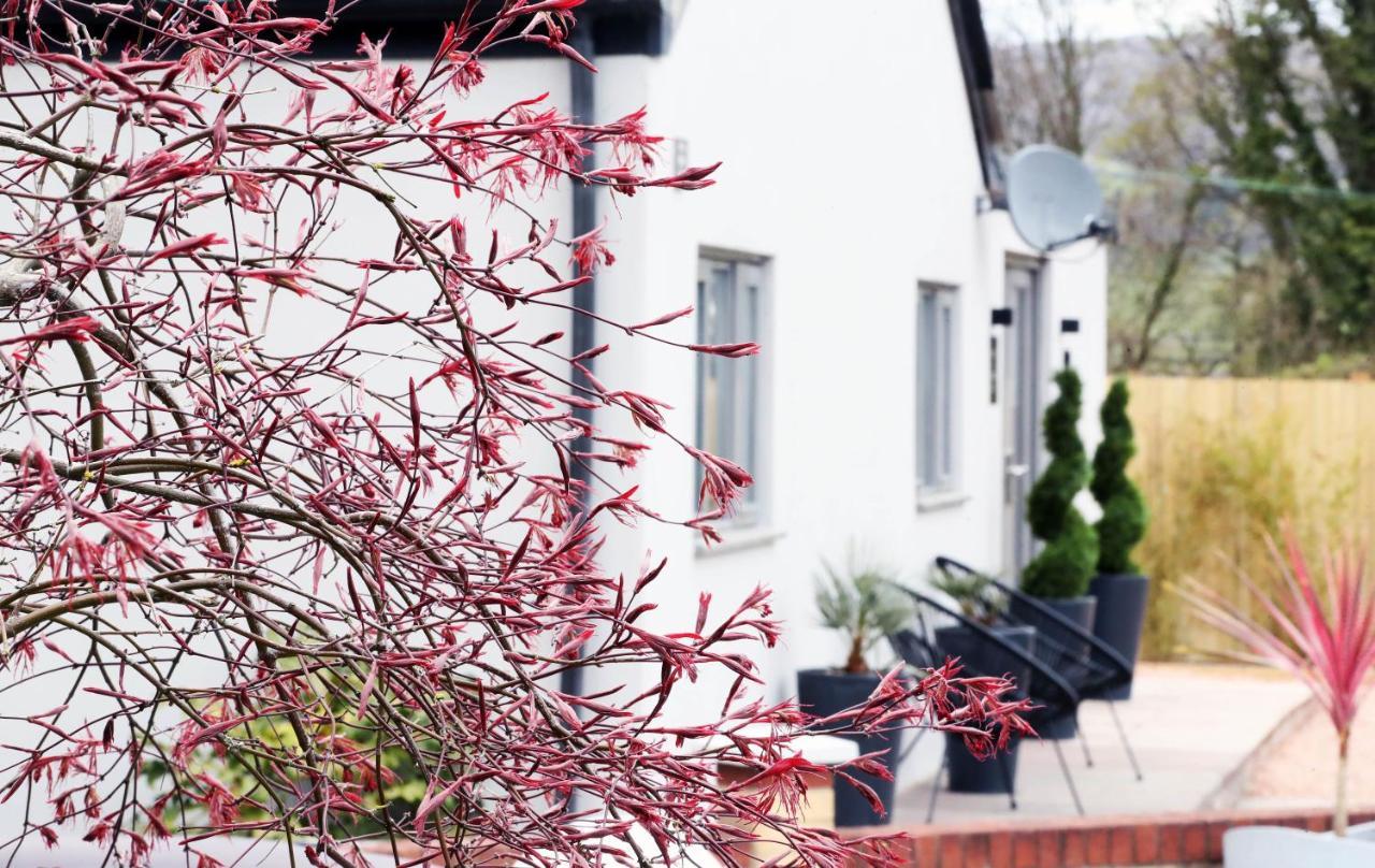 Pen-Y-Worlod Cottages Abergavenny Exteriér fotografie